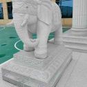 南充 白麻花岗岩动物异形石雕-大象