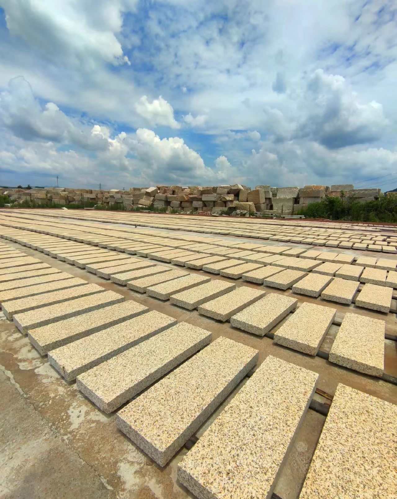 南充 黄金麻花岗岩荔枝面地铺石防护中