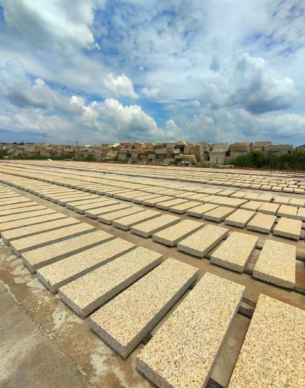南充 黄金麻荔枝面花岗岩石材地铺石防护中